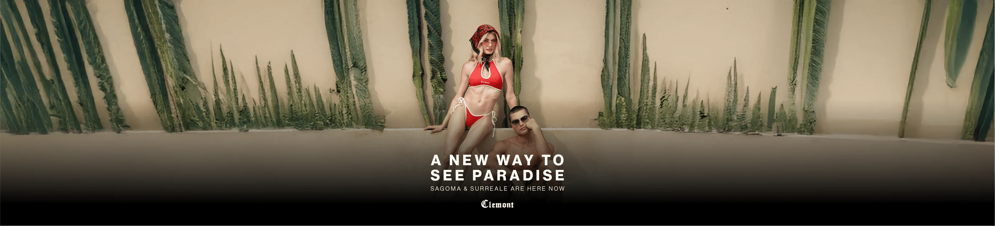 EYEWEAR - CLEMONT, LLC